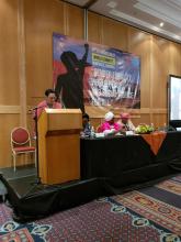 Cuba participates in the annual meeting of the WIDF Committee in Namibia.