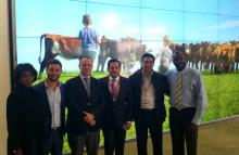 Fonterra Alimport