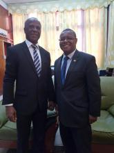 Ministro de Salud centroafricano recibe al embajador cubano