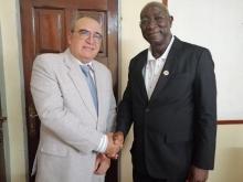 Cuba en Sierra Leona