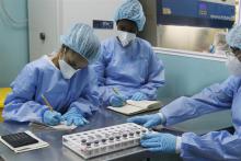 Over 50,000 Cuban women are engaged in science and technology