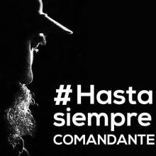 Hasta siempre, Comandante