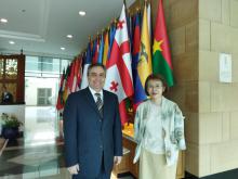Presented in Thailand the update of the National Report of Cuba (Period August/2021-February/2022) under UNGA Resolution 75/289