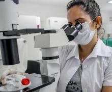 La integración del sistema cubano de Salud Pública con el desarrollo de las investigaciones y producciones biotecnológicas en la Isla, no solo para dar respuesta a los problemas nacionales, sino con un enfoque proactivamente colaborativo hacia la región y el mundo, avaló las consideraciones recientes de un informe de Unesco, que exaltó a la Mayor de las Antillas como líder en cooperación científica