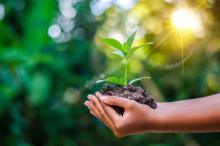 Día de la Tierra: También hay que aplanar la curva del cambio climático