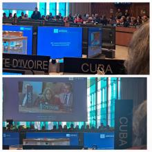 Cuba Participates in the 223rd Session of the UNESCO Executive Board, Where the New President of This Body Was Elected