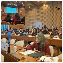 Strong denunciation by Cuba of the consequences of the U.S. blockade against the Island during the G77 and China Chapter plenary meeting at UNESCO